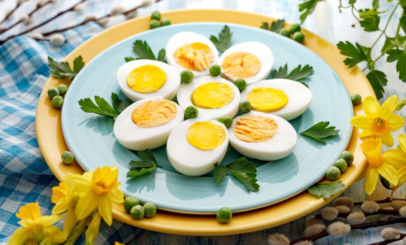 Yumurta Diyeti Nedir? Yumurta Diyeti Nasıl Yapılır?