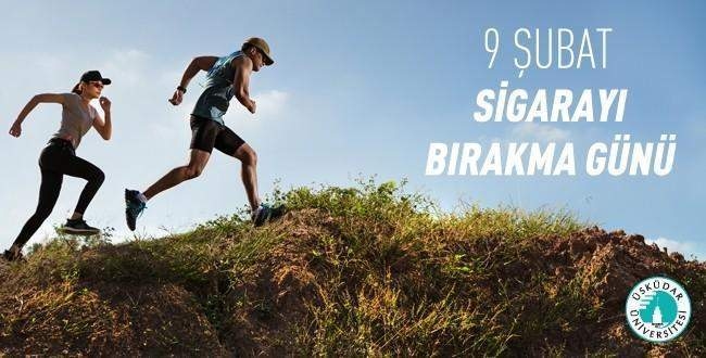 Sigara bağımlılığı için tek dal yetiyor