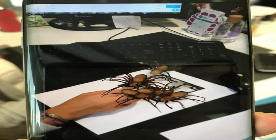 Böcekler artık sizi hiç korkutamayacak!