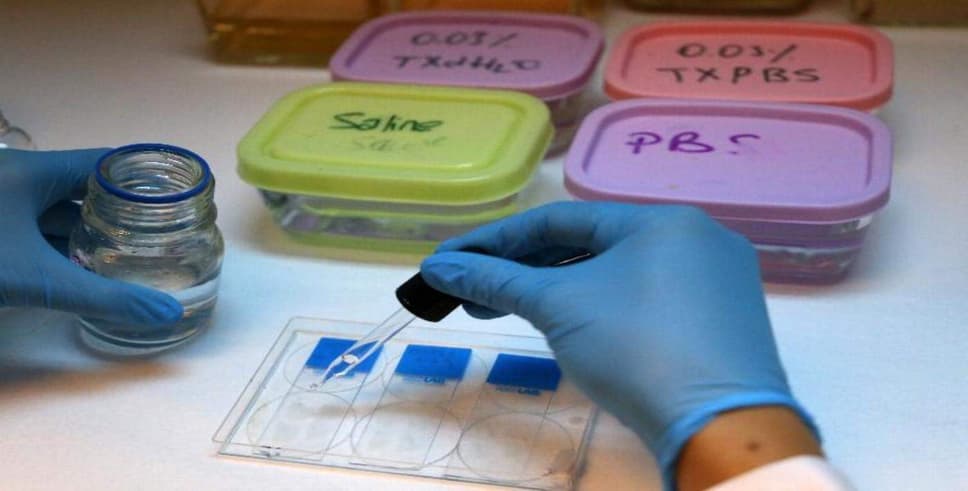 NPFUAM, Dünyadaki Sayılı Merkezlerden Biri