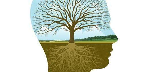 Sosyal fobi alkol ve madde kullanımı artırıyor