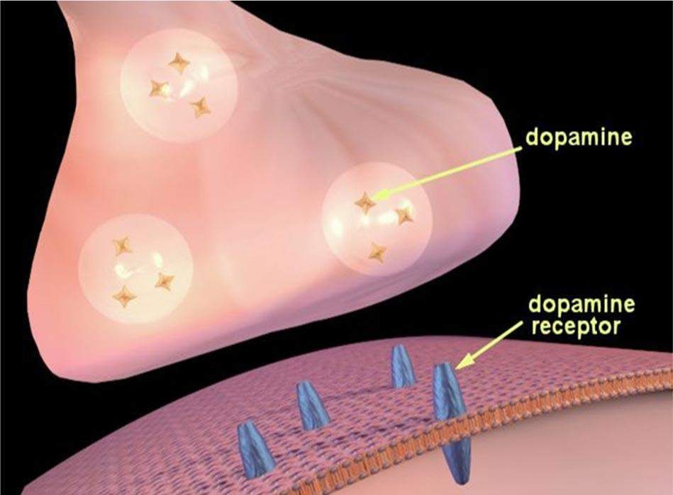 Sigarayı yardımsız 100 kişiden sadece 1 kişi bırakabiliyor