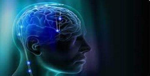 Hafıza 'kaybolmuyor'