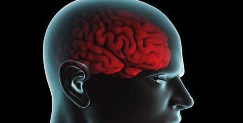 Dünyaya 600 milyar dolara mal oldu