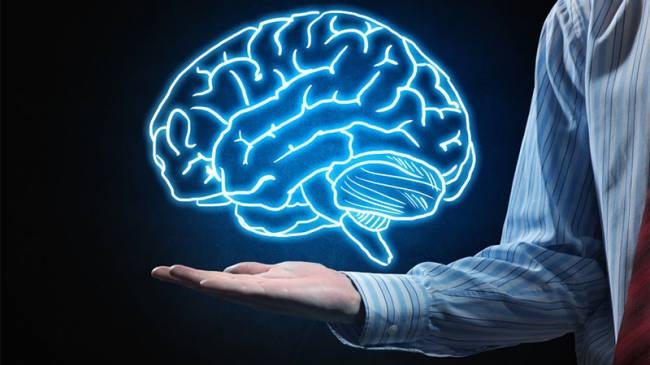 Beyin Ödül Sistemi Nasıl Çalışır?