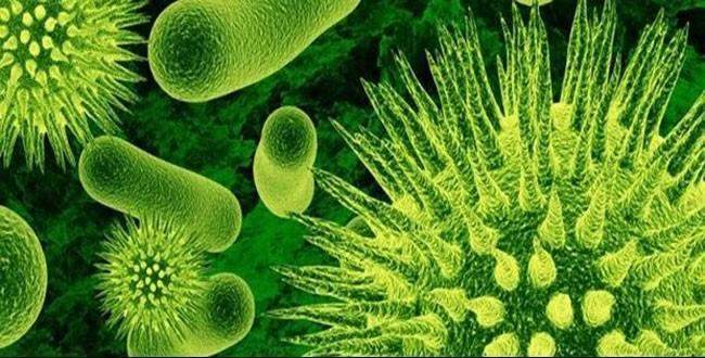 'Et yiyen bakteri' ölüm saçıyor! | e-Psikiyatri