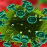 hivvirus